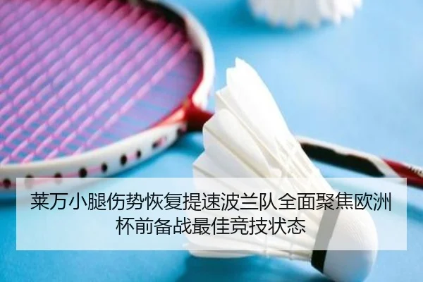 莱万小腿伤势恢复提速波兰队全面聚焦欧洲杯前备战最佳竞技状态